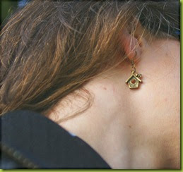 bird house earrings
