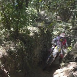 Pogli - By Alessandro Bottani