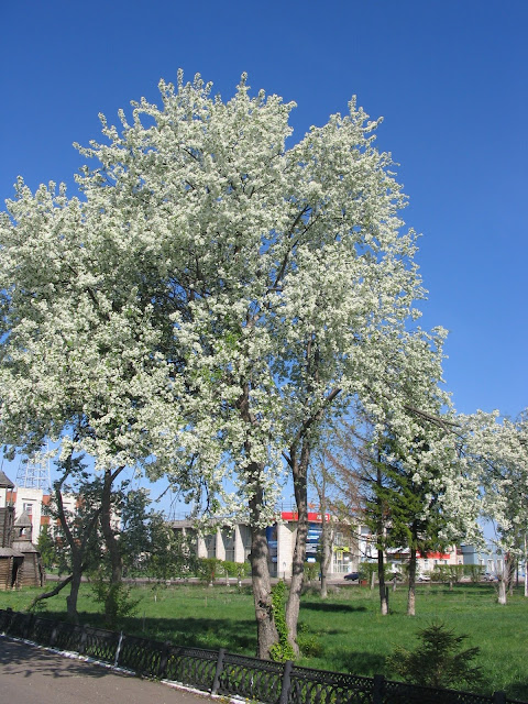 Центр города (Ерченко Марина) (1)