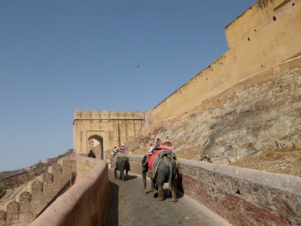 [DSCI3139%255B4%255D.jpg]