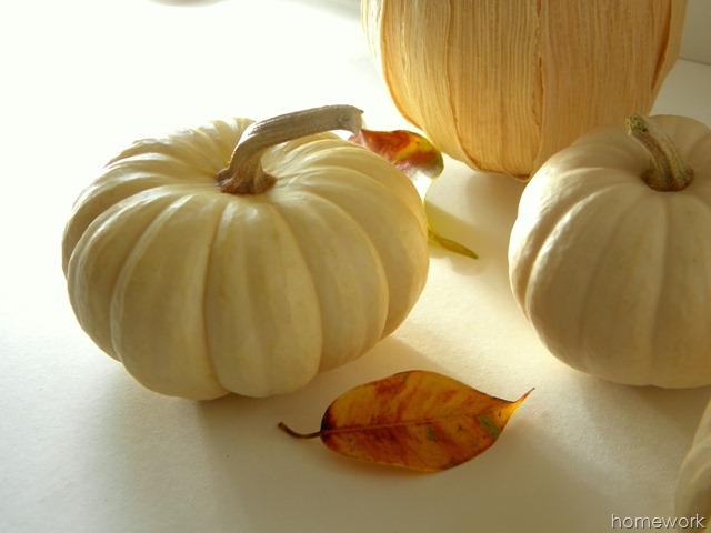 [Cornhusk-Pumpkin-72.jpg]
