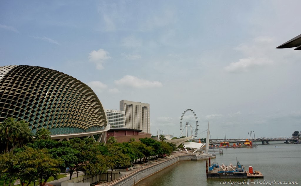[Singapore-Trip1093.jpg.webp]