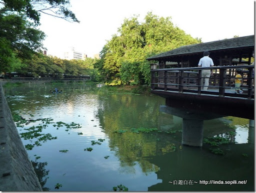 新竹公園-麗池-2