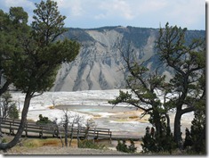 IMG_7063 IMG_7063