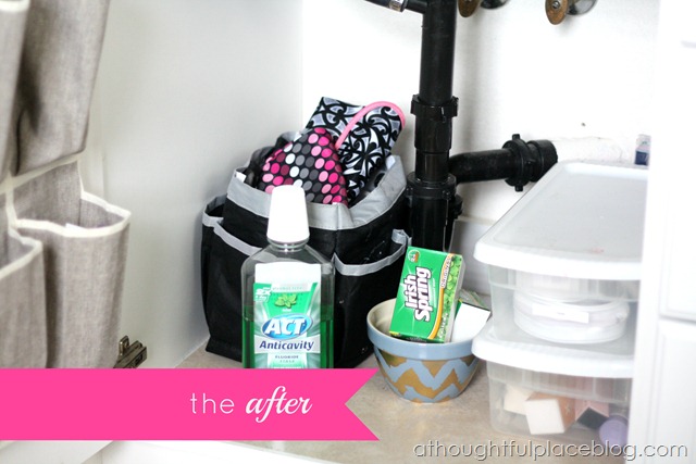 Organization Under the Bathroom Sink - A Thoughtful Place