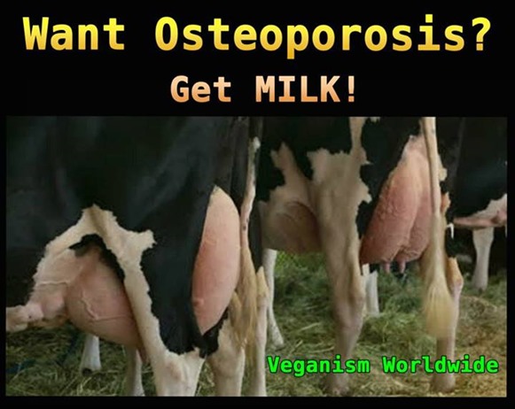 Want Osteoporosis? Get Milk!