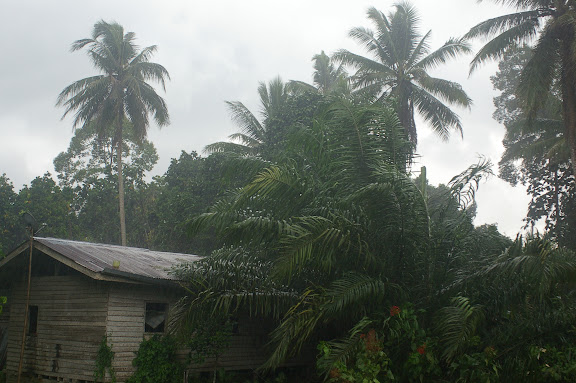 Pluie sur Sukau, 15 août 2011. Photo : J.-M. Gayman