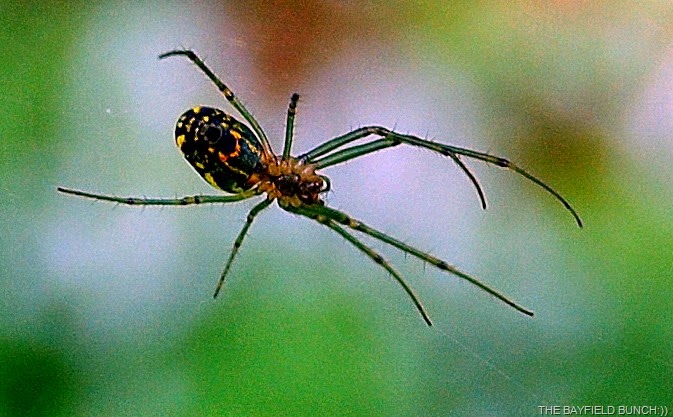 [DSC_2990%255B4%255D.jpg]