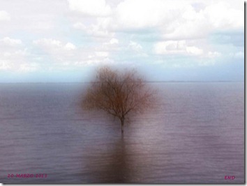 dia mundial del agua (40)