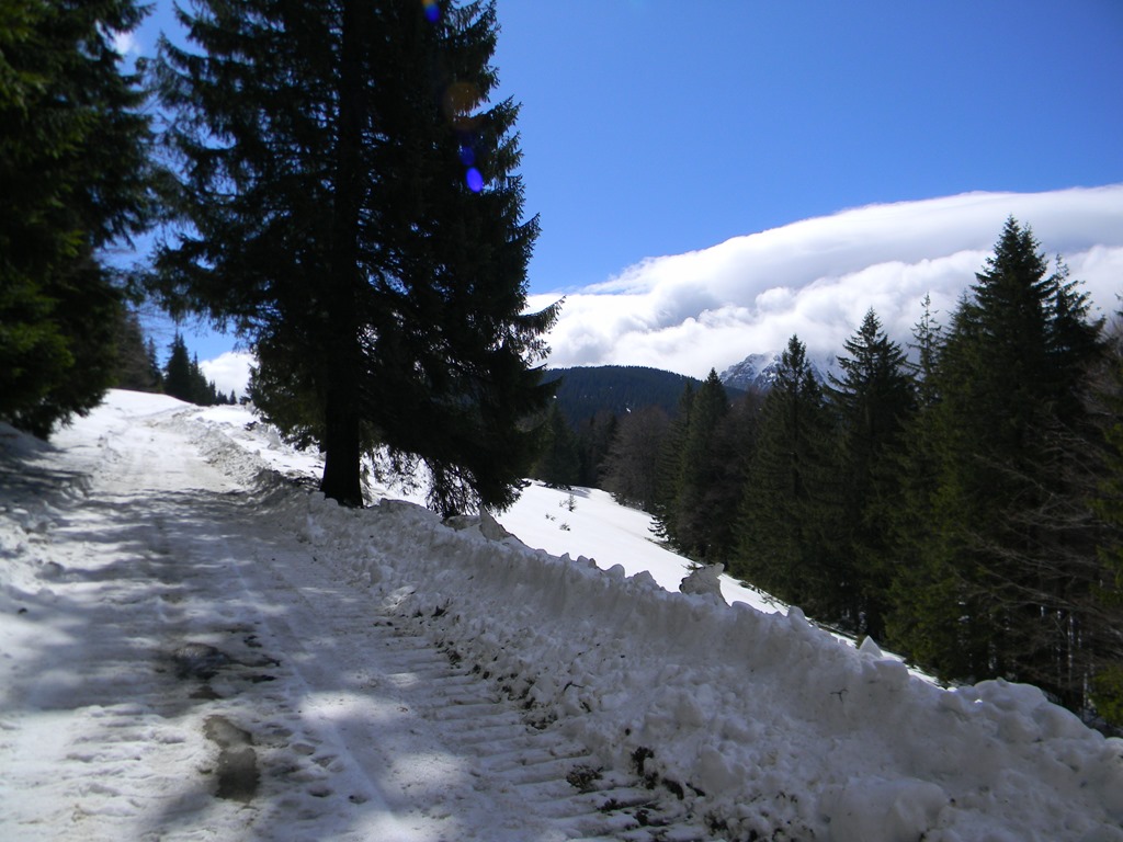 [DSCN61463.jpg]