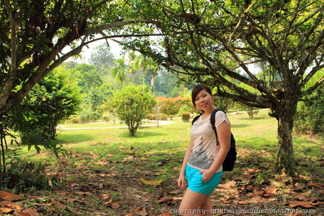 [CHY19%255B2%255D.jpg.webp]