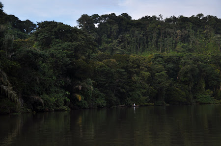 Obiective turistice Costa Rica: Pe Rio Tortuguero