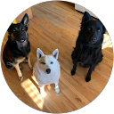 Taylor Mathewsons profile picture