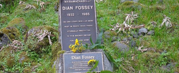 Trek to Dian Fossey Tomb (Grave) Hike