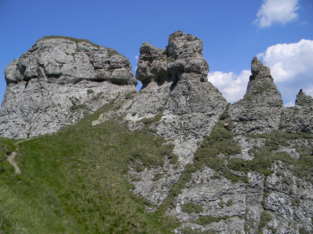 [DSCN39003.jpg]