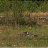 Schlacht um Berlin '45