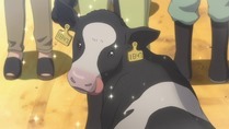 Gin no Saji - 08 - Large 18