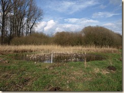 Mechelen-Bovelingen: in het natuurreservaat Overbroek
