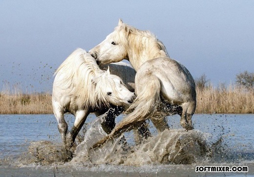 [294038_508542179167527_1623923211_n%255B3%255D.jpg]