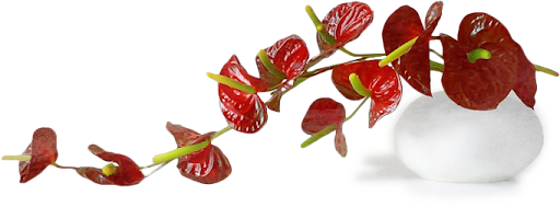 aclis_flowers_01_12_08_2011.png