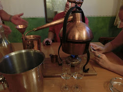 Burgenland 2012 - 003