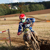 By Alessandra Tommei