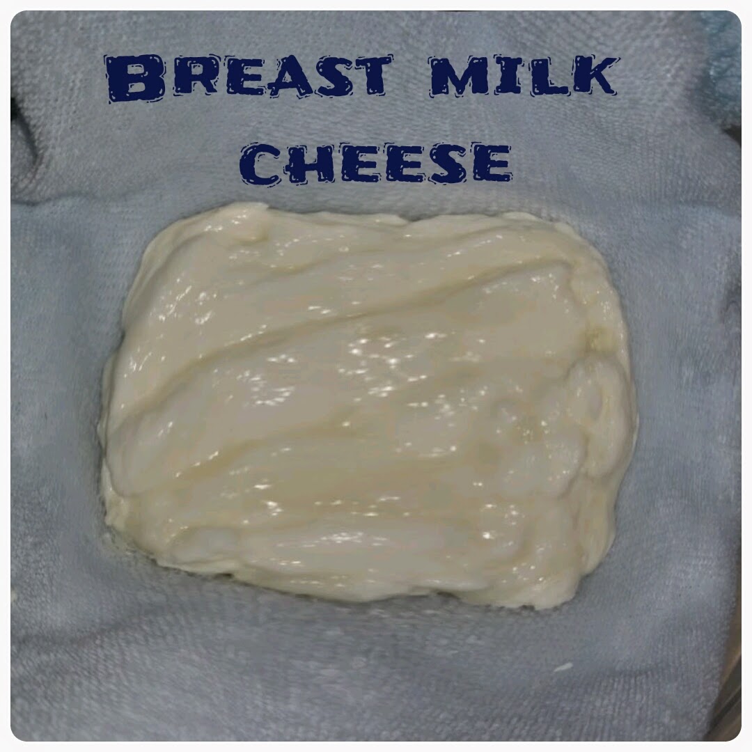 The cow jumping over the moon Breast Milk Cheese