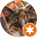 Image Google de Olive LANTIC