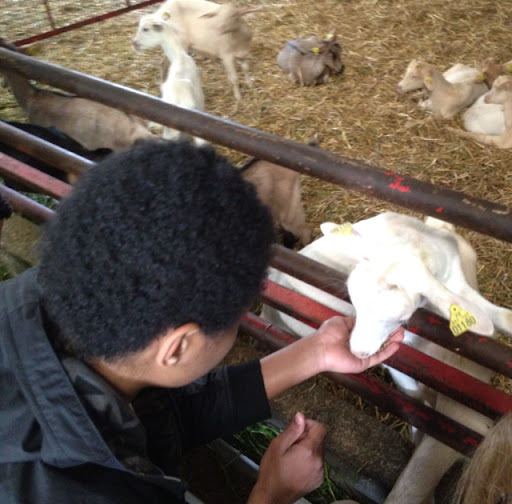 Richard Challoner PGL 2012 Ferme des Chevres