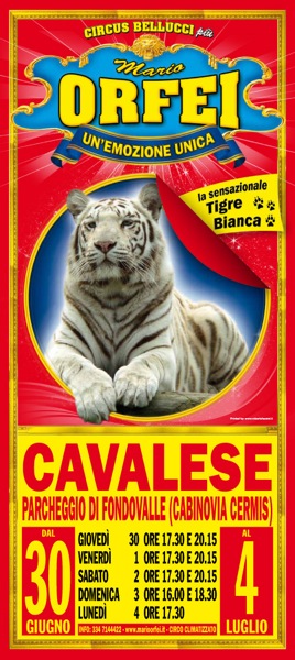 Cavalese2011
