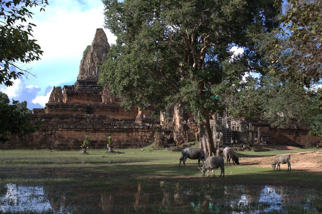 [12-09-Cambodia-2183.jpg]