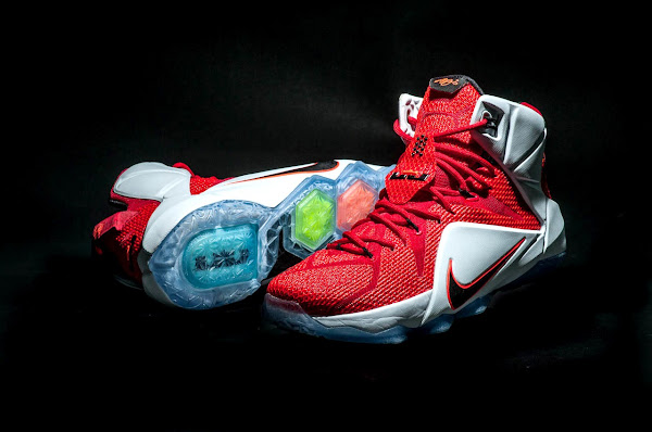 lebron shoes with lion on the back