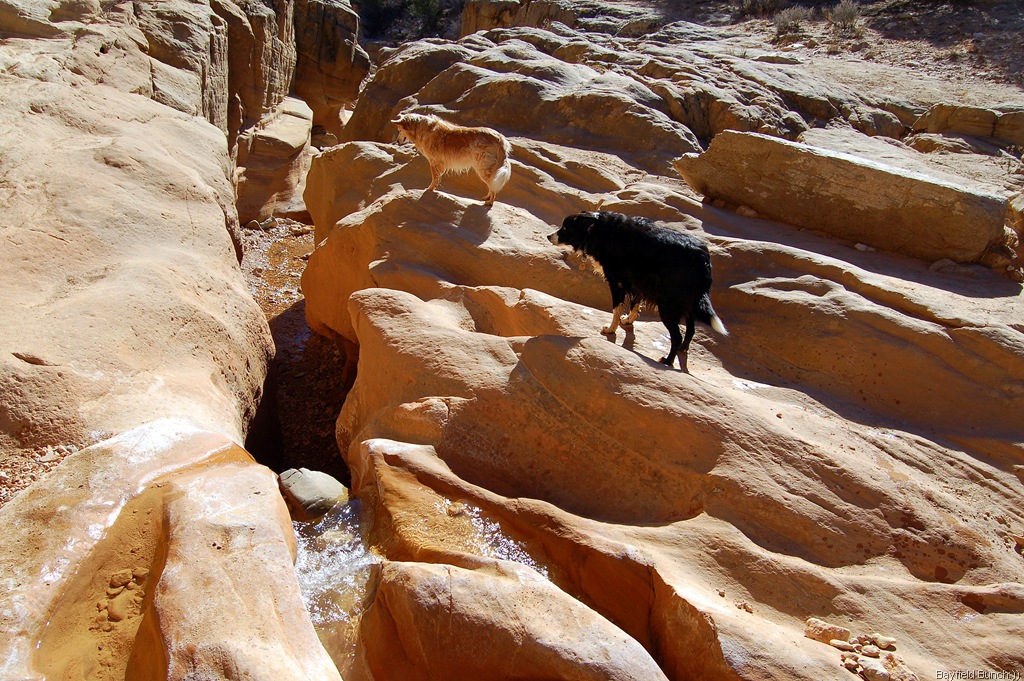 [DSC_0031%255B3%255D.jpg]