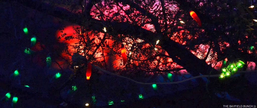 [DSC_0004%255B4%255D.jpg]