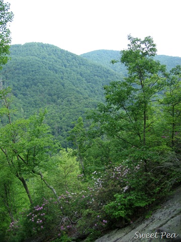 [Crabtree%2520Falls15%255B3%255D.jpg]