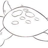 Tartaruguinha.jpg