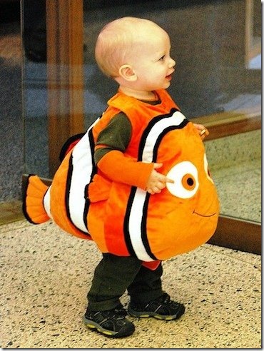 nemo nemo