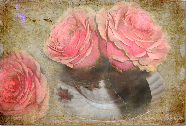 Roses_teacup