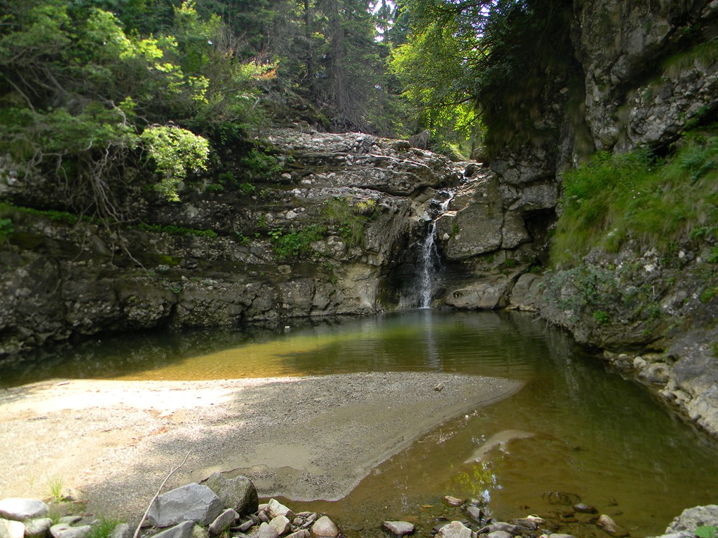 [DSCN36493.jpg]