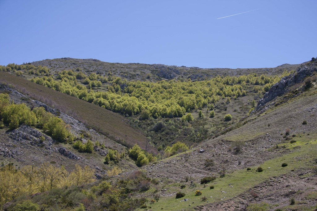 [paisaje2013-38%255B4%255D.jpg]