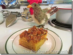 butterscotch chip cake - The Backyard Farmwife