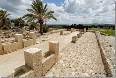 Megiddo southern stables, tb032507596