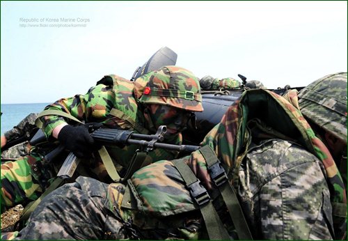 Фото с учений Южной Кореи и США