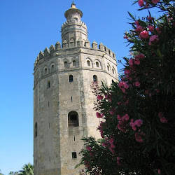 43 - Torre del Oro de Sevilla