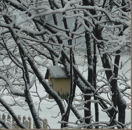 Snow on birdhouse