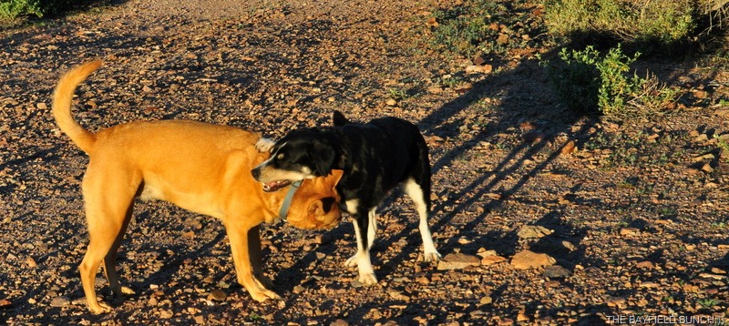 [DSC_0009%255B5%255D.jpg]