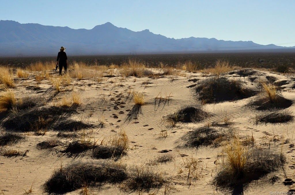 [DSC_0057%2520-%2520Copy%255B3%255D.jpg]