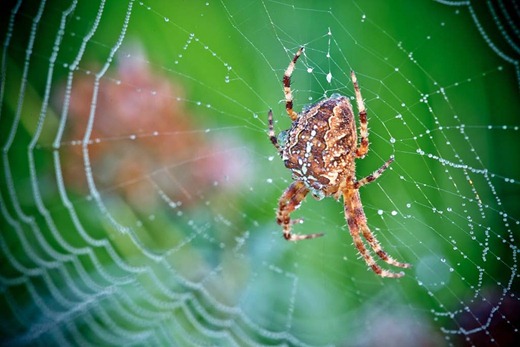 [clip_image014%255B3%255D.jpg]