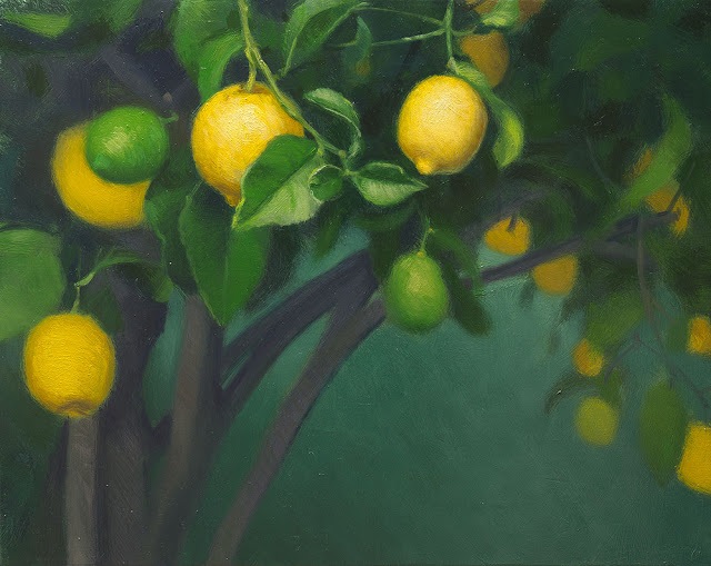 [lemon-tree-01-1k5.jpg]