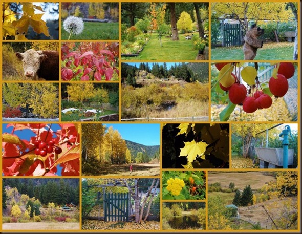 Blog Fall Colors at the Ranch_tn